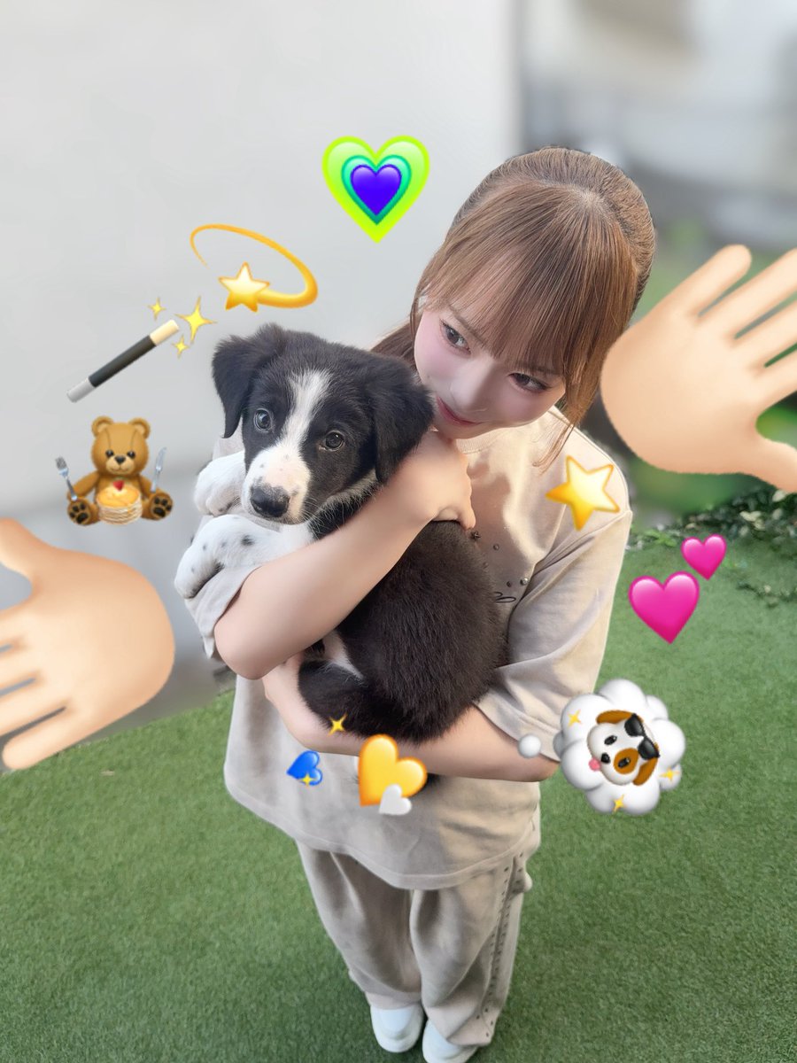 hina_hinahata's tweet photo. ひなの新しい家族っ❕🐶🐾💖

お名前は ꒰ てん  ꒱ です🪄ྀི⭐️

てんちゃんと毎日遊んでて楽しいし
なにより可愛すぎて癒されてゆ🐶♡

今日もてんが可愛すぎゆ(ᐡ• ·̫ •ᐡ)(親ﾊﾞｶ) https://t.co/8cS9x3BV5Z