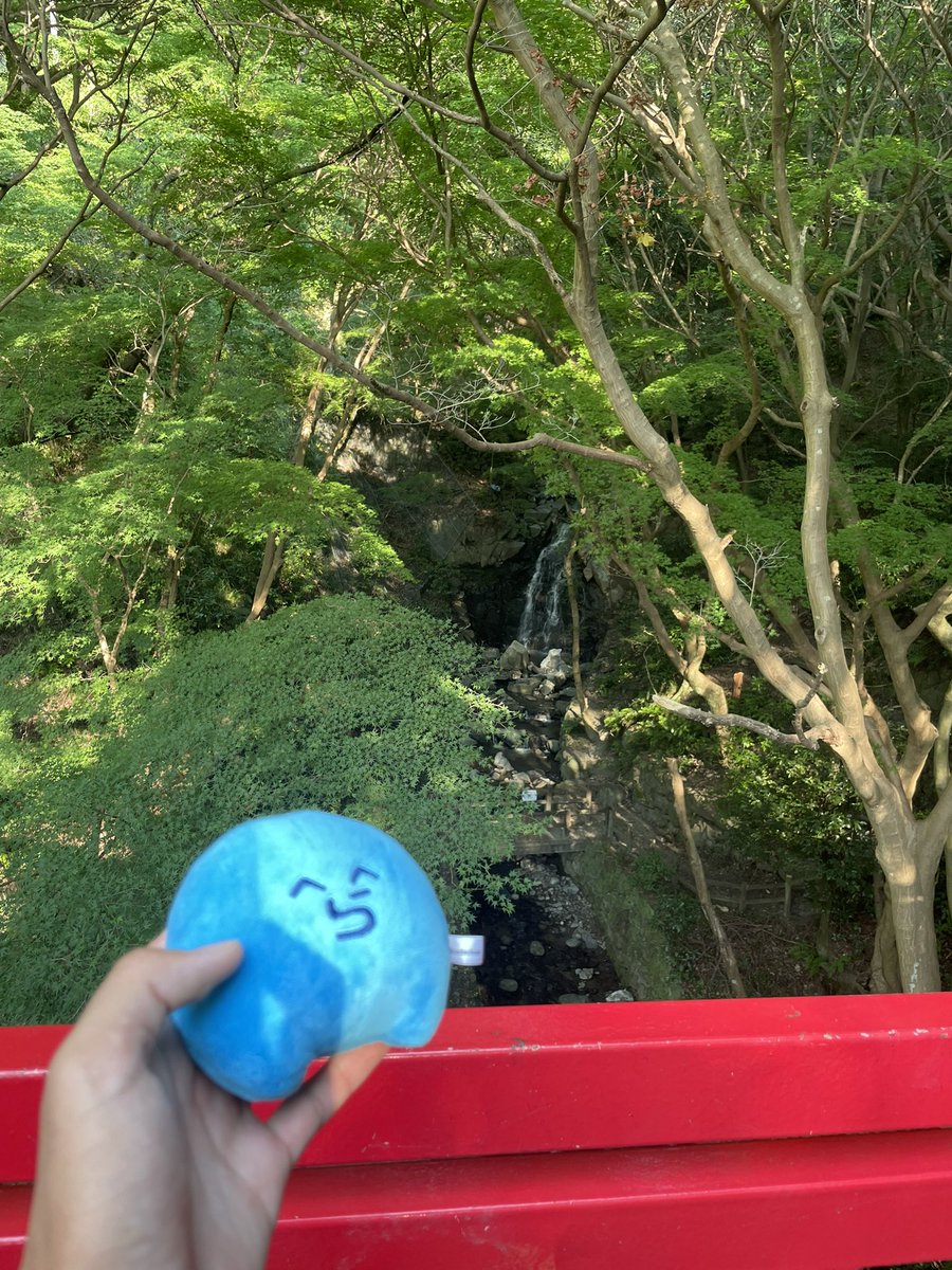 Kazehito0's tweet photo. 真夏に海じゃなくて山登るヤツ🧣
 #ぬいかつ
 #らっだぁ https://t.co/9QwuhUUsuR