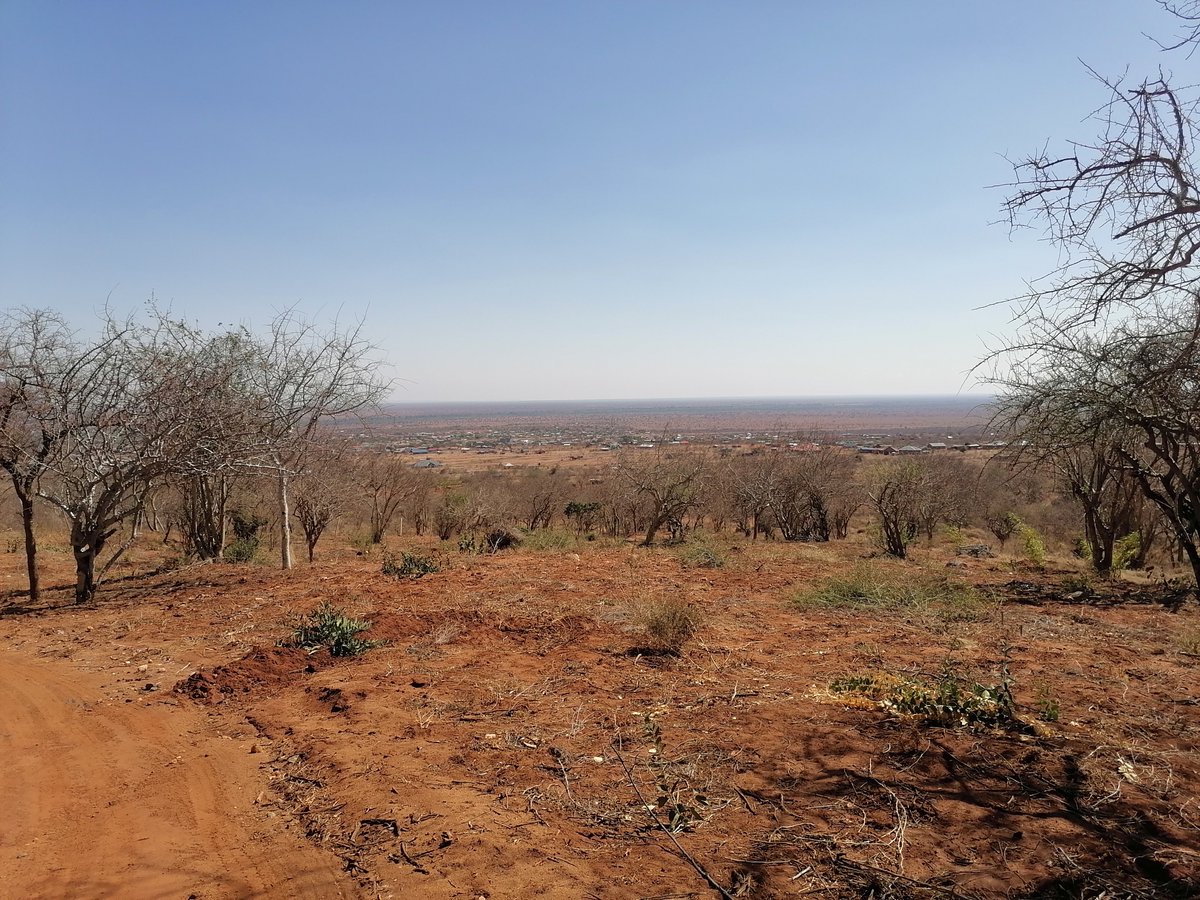 TaitaDictionary's tweet photo. Dont be deceived by the the dryness. These Taita soils are fertile and very ideal for agriculture.

You don't need fertilizer. You just need water. One day we shall witness this dream turning into a reality. 

Wadawida msighe kunekana ndoe. https://t.co/zoGCZHkb6C