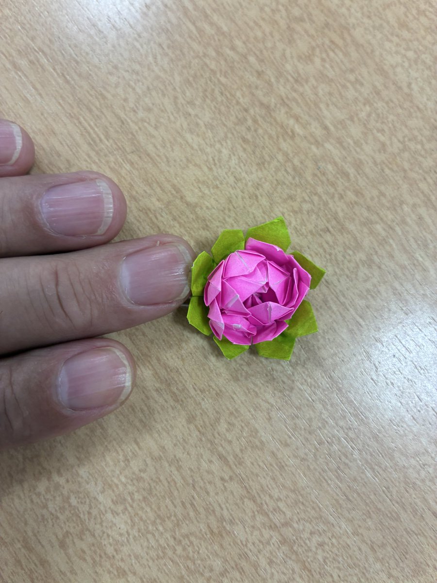 rinmei0710's tweet photo. ハス https://t.co/NLJALB0yGn