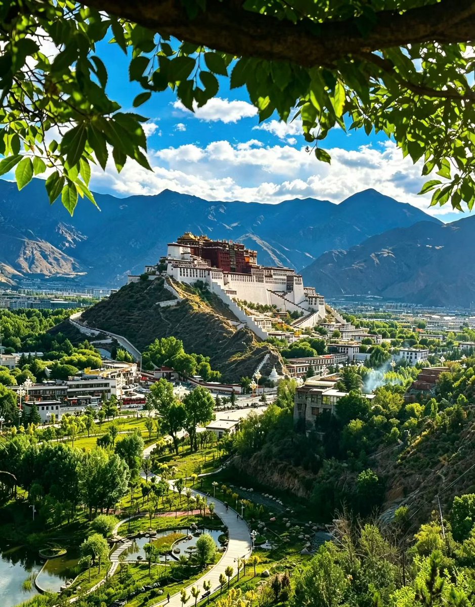 helen522AH's tweet photo. 2026年7月23日，中国西藏拉萨的人间烟火。
July 23, 2026 — The warm worldly charms of Lhasa, Xizang, China. https://t.co/k6nIxczgTb