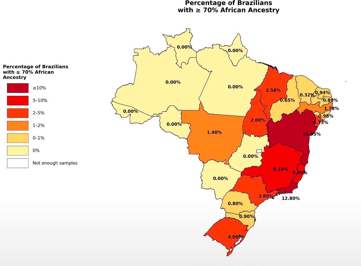 Danielismo Cultural 🇧🇷 tweet media
