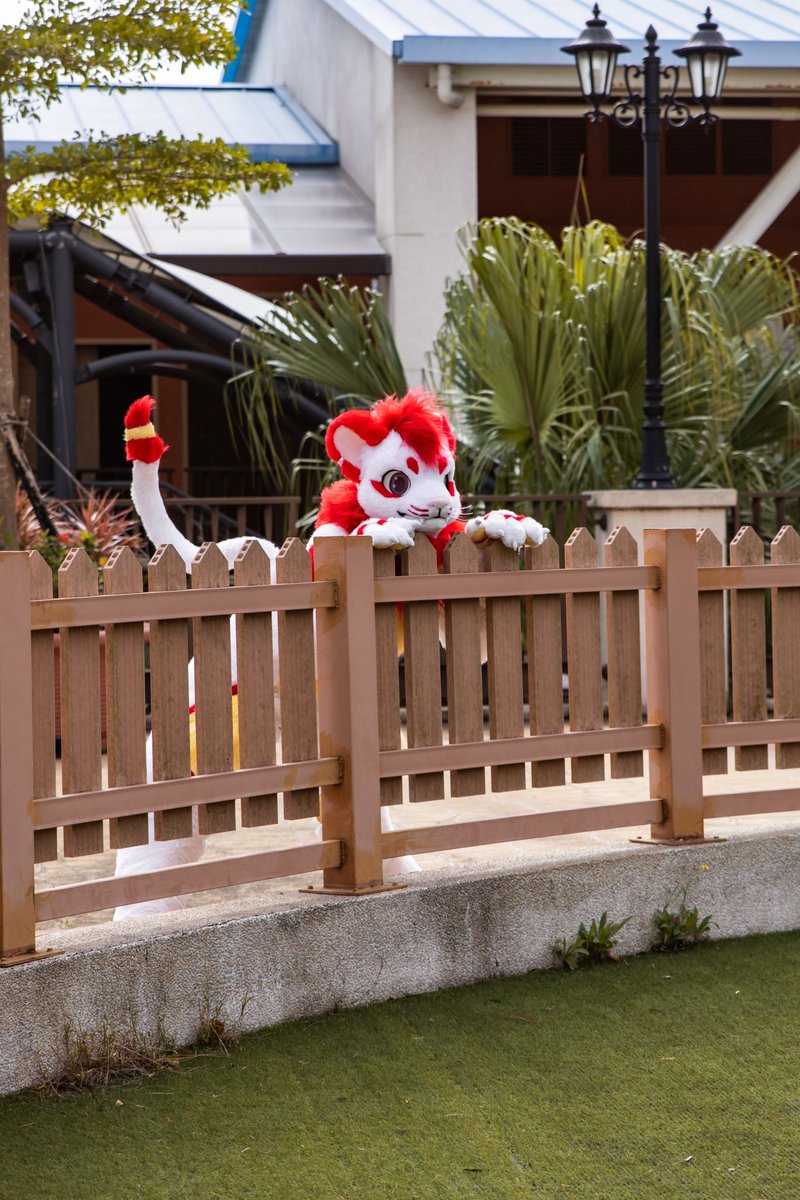 puiidragon_0528's tweet photo. Peep👀🌶️

📷：Gale
#FursuitFriday 
#辣條spicy https://t.co/43OoppmkCG