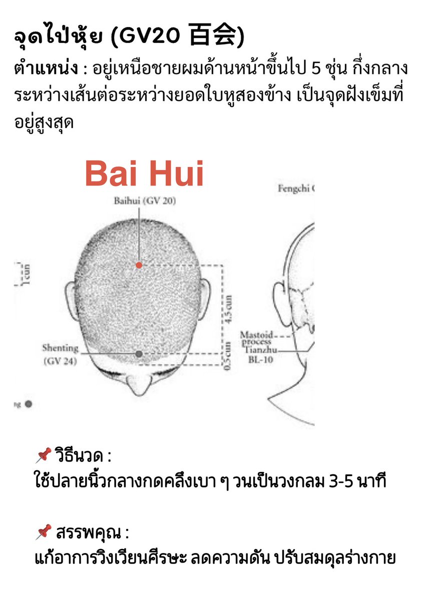 SoSplendidPM's tweet photo. บม.เก็บไว้ได้เลย 🔖

นวดทุยหนา = ศาสตร์แพทย์แผนจีนแท้ ๆ คือเขาจะนวดตามแนวเส้นลมปราณเพื่อเคลียร์ทางให้เลือดกับพลังงาน (ชี่) ไหลเวียนสะดวก พอเลือดลมดี นอกจากจะหายปวดหัว สบายหนังศีรษะแล้ว รากผมยังแข็งแรงขึ้นด้วย

- ใช้นิ้วมือเปล่า ๆ นวดได้เลย หรือ
- ตอนนี้ฮิตหวีกัวซากันมาก ��ราก็เอามาขูดวนที่หัวเบา ๆ ช่วยกระตุ้นเลือดลมบำรุงรากผมได้

��แปะวิธีกดจุดนวดหัวทุยหนา 3 จุดนี้ก่อน วิธีนวด & สรรพคุณอยู่ในรูปเลย