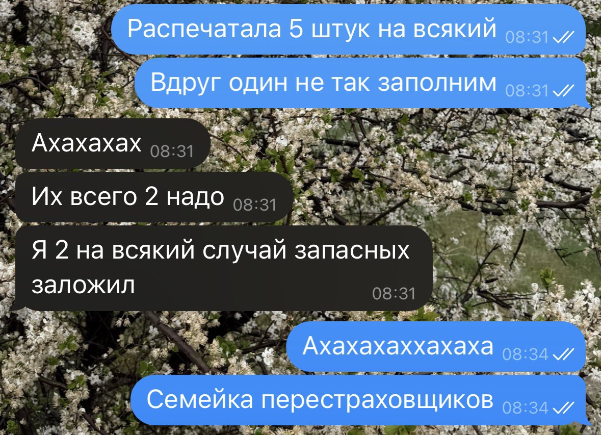 masonicface's tweet photo. Вайбы нашей с мужем семьи 
«Перестрахуй перестраховавшегося» https://t.co/SfGhh8oMZ7