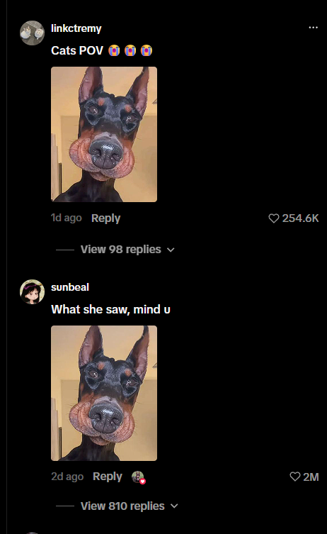 Nukooszn's tweet photo. this meme is so genny

there is this giga viral tiktok video

https://t.co/rf7Ol0l1mB…

65mil views in 2 days

15mil likes

and this EXACT PICTURE HAS 2 MIL LIKES IN COMMENTS

the dog is named Drax 

this is more than most of these slop coins launched last few days

i launched it yesterday with wrong picture and some faggot blocked it with 18% wallet