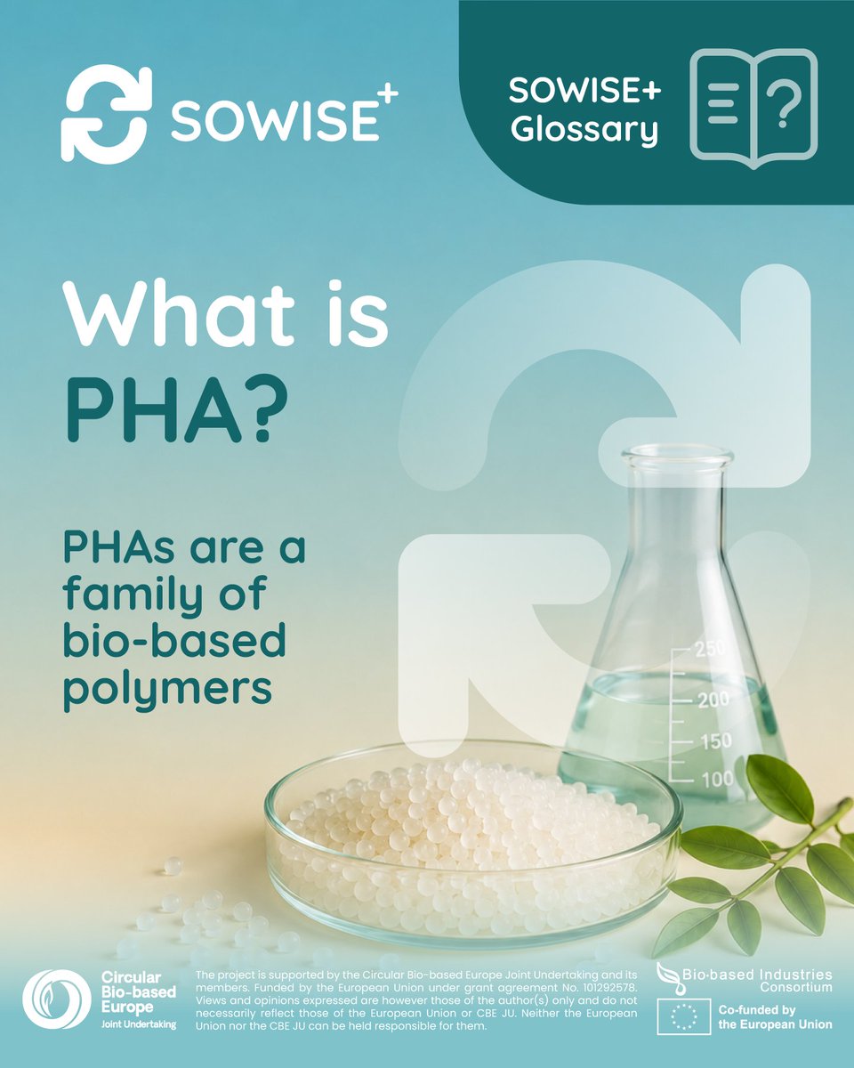 sowiseplus's tweet photo. SOWISE+ Glossary | What is PHA?
PHA stands for Polyhydroxyalkanoates.
PHAs are a family of bio-based polymers that can be produced by microorganisms under specific conditions.

🌐 https://t.co/a5QC5IXPeh 
#SOWISEplus #PHA #PHBV #CircularBioeconomy #BioBasedMaterials #WasteToValue https://t.co/lKqufdeYZH