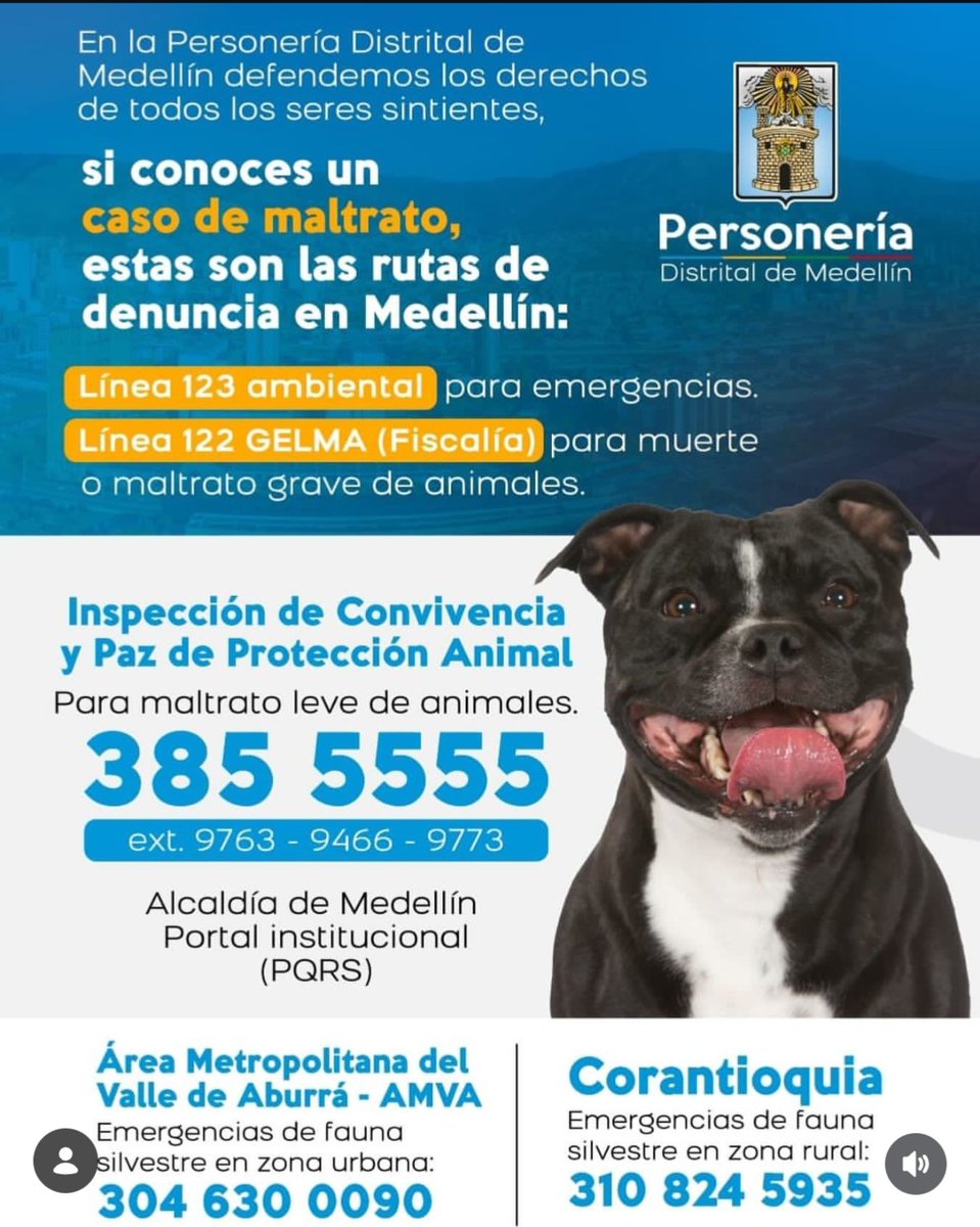HenaderOberal's tweet photo. @DenunciasAntio2 @seguridadmed @PoliciaMedellin @FicoGutierrez @ManuelVillaMe @tobonvillada @andreanimalidad https://t.co/cLB5anDz0x