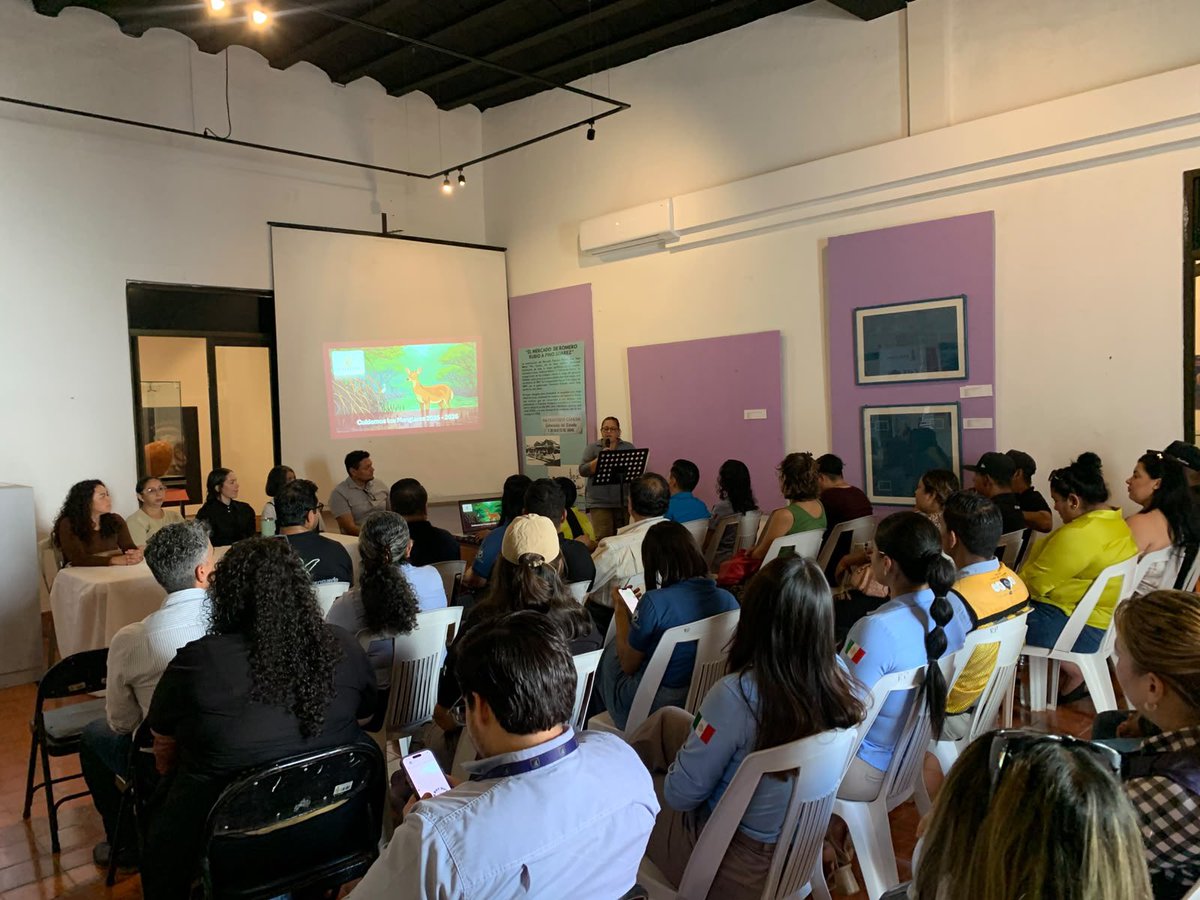 snavarrop's tweet photo. Diálogo de Saberes: Jornadas 2025–2026 del Programa Cuidemos Los Manglares. Compartimos nuestra experiencia en este programa, destacando el trabajo entre academia, gobierno y sociedad para la conservación de los ecosistemas de manglar. Muchas gracias por la invitación ✨ https://t.co/ZIF2oC3vWJ