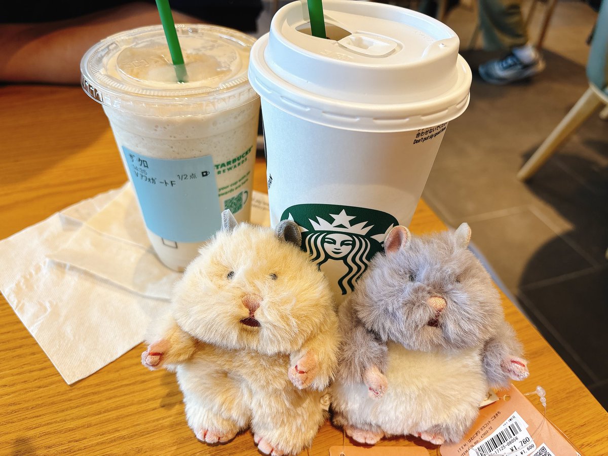Tamayan1106's tweet photo. 可愛いね
帰ったらトリミングしようね https://t.co/i0ia570cVu