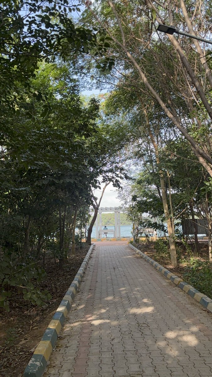aaina_narang's tweet photo. 📍agara lake is one of the most bful spots for running https://t.co/xm7OrksG8i