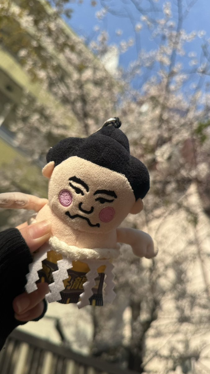 心身ともに無理せず今日も頑張れ豊昇龍！ 全力応援だぁぁぁぁぁあ