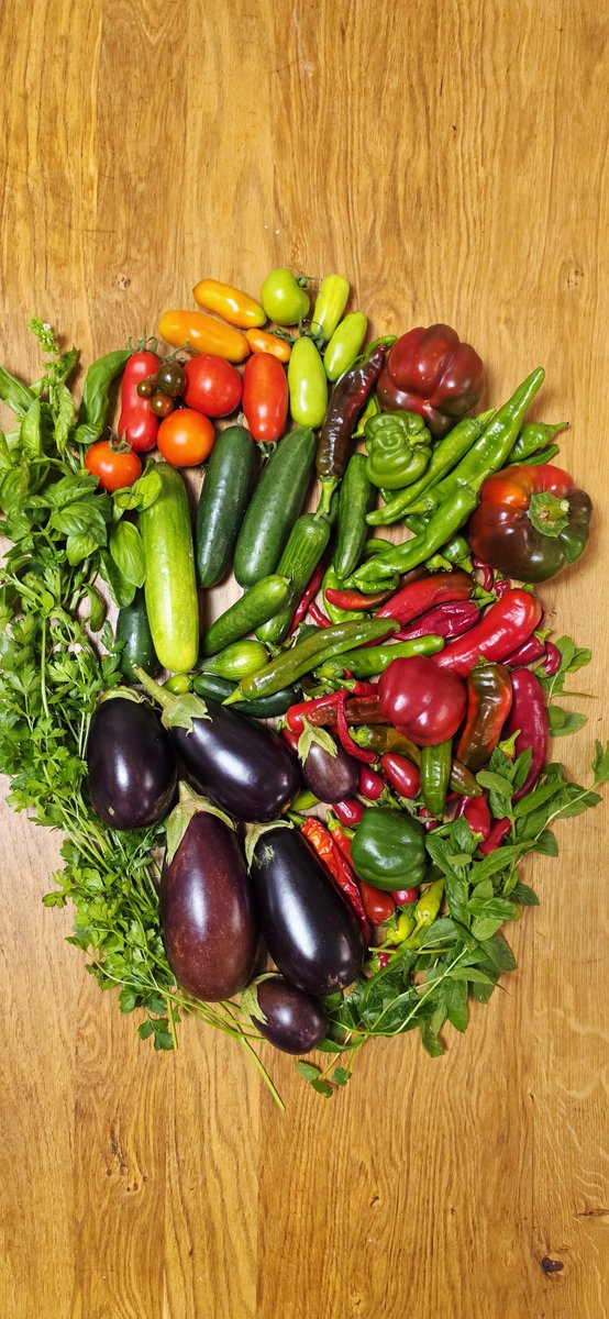 NogaCaspi's tweet photo. Update #20

The last harvest from my hydroponic garden🌿✂️  

#ShabbatShalom💚🥗 https://t.co/Ycl7pvsEMQ