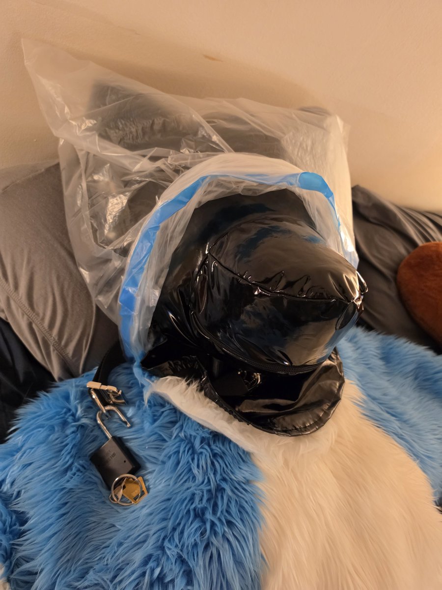 PotatoHusky's tweet photo. Oh my god I'm posting new content? (Jokes on y'all I have a ton more but it's mostly noose play and I'm not sure who wants to see that) https://t.co/foZVAkANKi