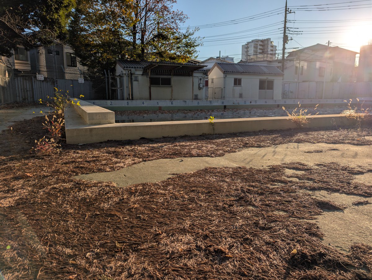 urawacity_net's tweet photo. 高砂小は校舎の老朽化と児童増加に対応するため、校舎の建替えを実施し、プールも解体されます。すでにプールは使われておらず、水泳の授業は東口のルネサンスでやってるとのこと。

思い出のプールがなくなるの寂しいな。 https://t.co/GepqSh0ieB