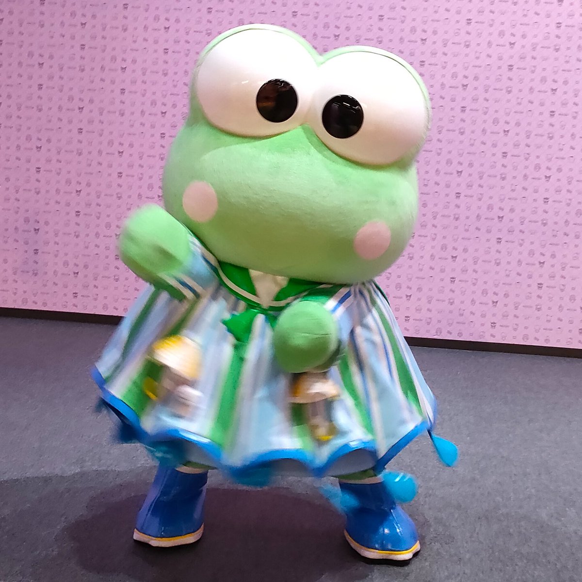 蓮の上けろっぴ (@kero2keroppi) / Posts / X