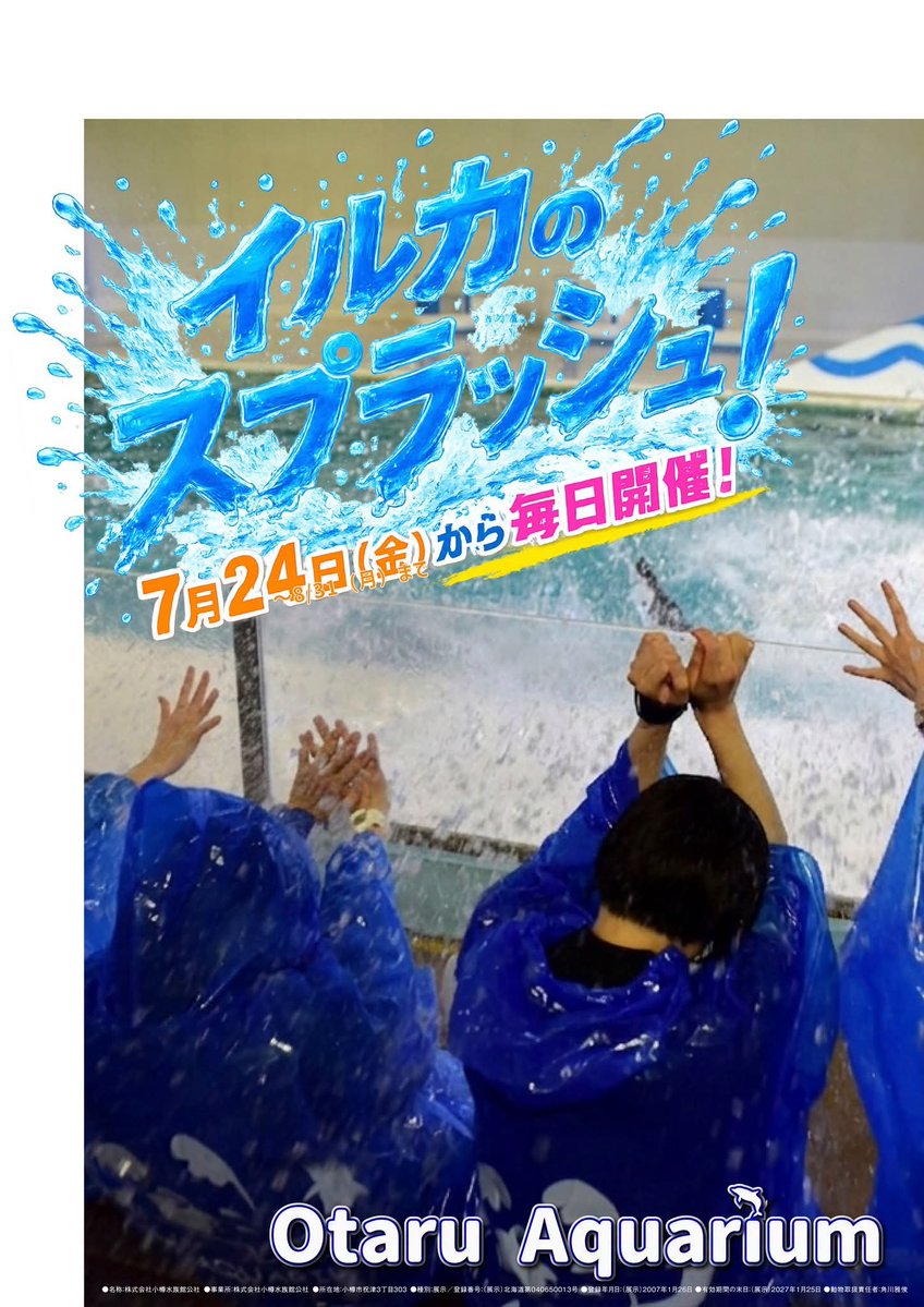 otaruaquarium's tweet photo. 【お知らせ】
8月はイルカ強化月間ですが、これに先駆けて本日から8/31(月)まで毎日毎回の「いるかのじかん」でイルカのスプラッシュ！を行なっています。
北海道もこれから暑い日が続きそうです。イルカからのプレゼント(？)を浴びて、夏を乗り切りましょう！
#おたる水族館　#イルカ https://t.co/u4TME1UEwQ