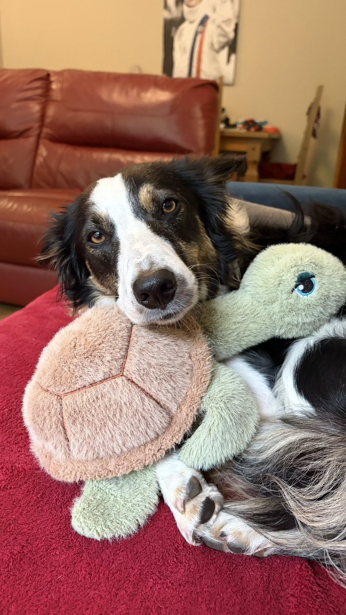 Puppy Bess and Auntie Kes tweet media