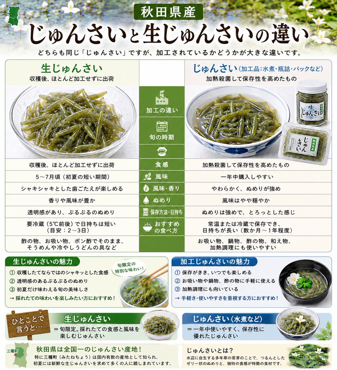 秋田県産 生じゅんさいのご紹介です