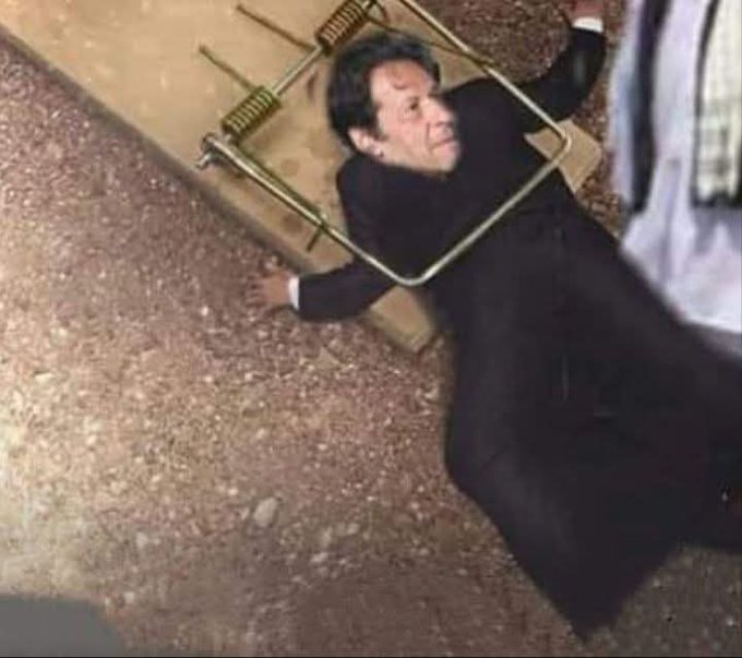 Maham449547's tweet photo. @PTIofficial تین سالوں بعد چوہوں کے خلاف آپریشن کامیاب ہوا۔ https://t.co/oQVKb1Ih68