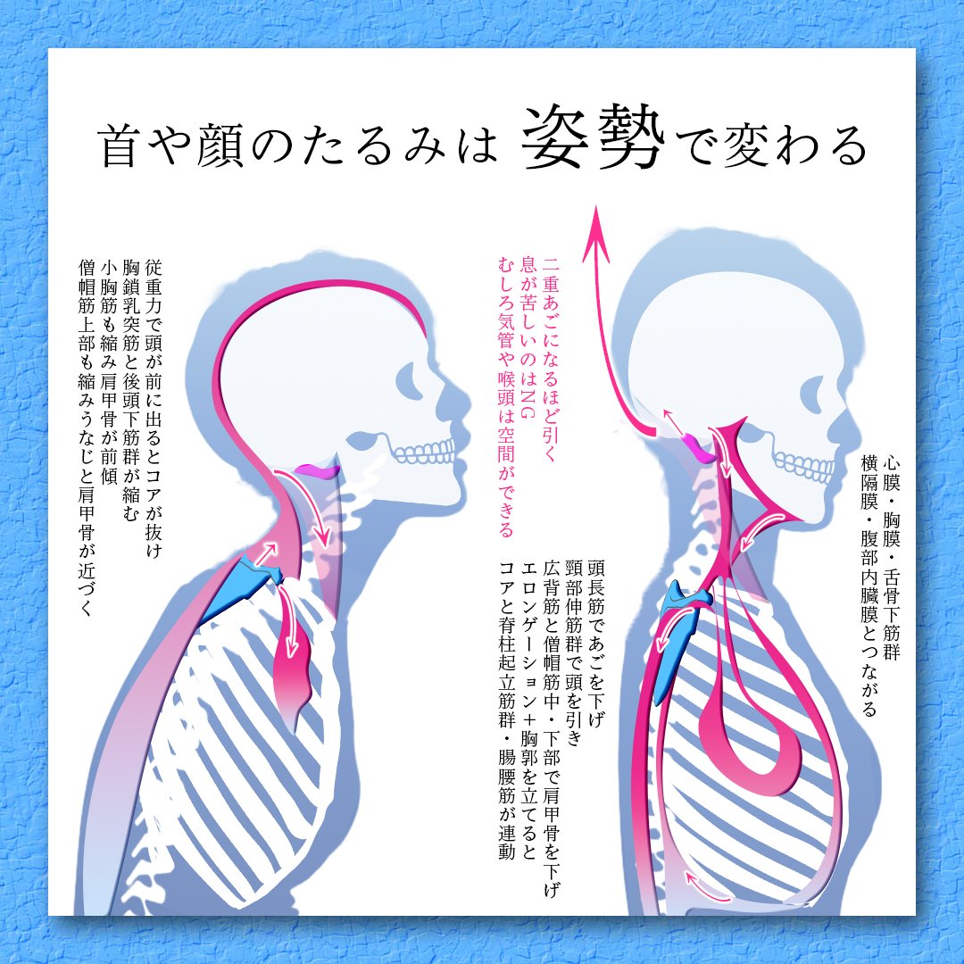 Hiromi tweet media