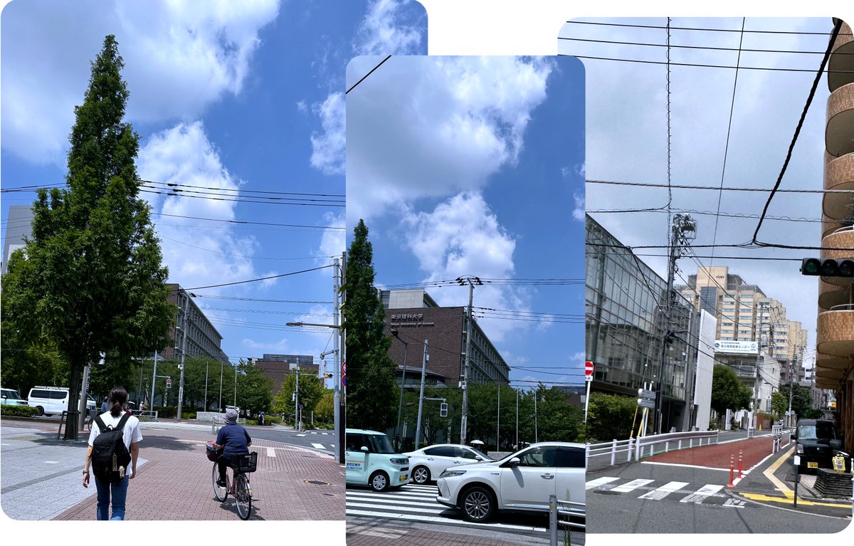 chondrexincjp's tweet photo. 今週は全国的に猛暑酷暑でした☀️
昼間に外回りをしてきて攻めてくる暑さを実感しました🥵💦皆さま、夏バテによる免疫力の低下に気をつけて、良い週末をお過ごしください😆。

 26日（日）は免疫を学べるイベント「#免疫ふしぎ未来」@miraikan をよろしくお願いします！😌https://t.co/39t6NT9hHM https://t.co/LUtiEmIalX