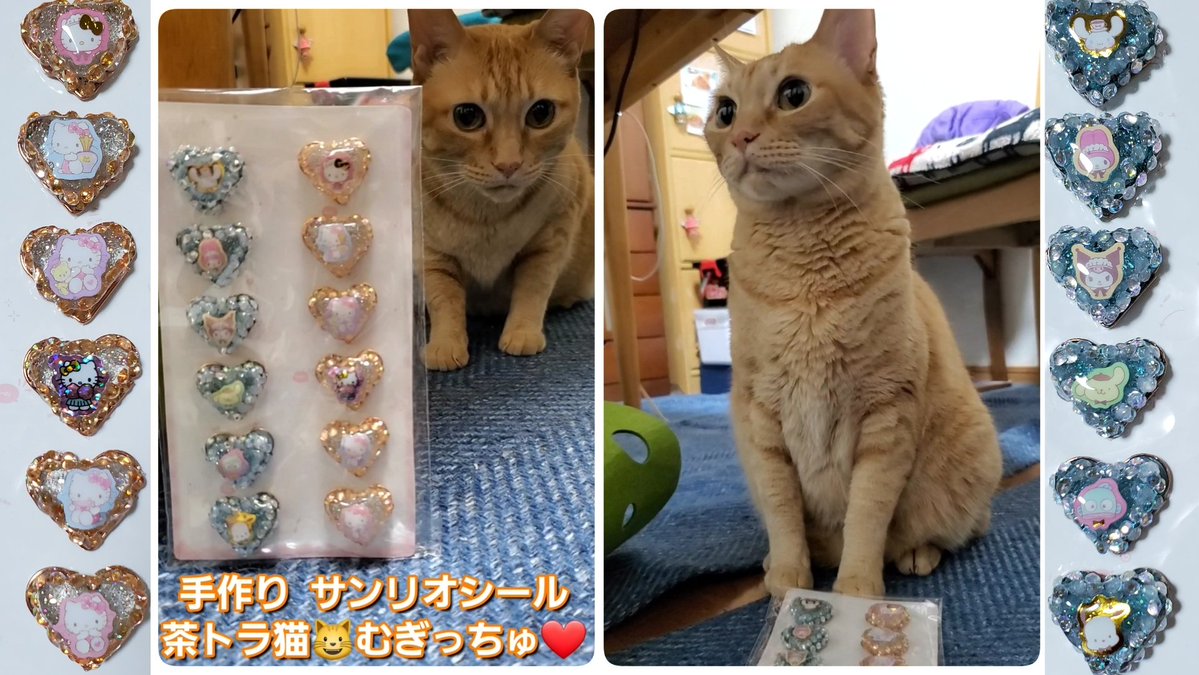 Kijinyan441's tweet photo. こんにちは☀

ちょっと失敗作だけど😅
手作りサンリオシール
むぎっちゅに😻見せてみた🤣

https://t.co/moUOZQ3i0S

 #YouTube
 #猫
 #手作りシール
 #サンリオシール https://t.co/3f1UFCb94m