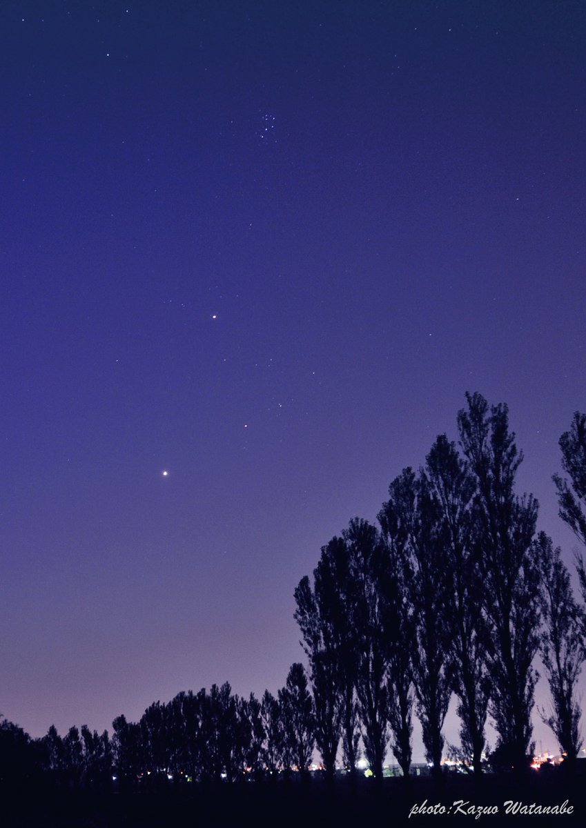tenmonguide's tweet photo. 夏の盛りというのに、すでに明け方の空には冬を告げるおうし座の星々が昇ってきています。

おうしの肩先にあるのは、プレアデス星団です。

撮影地：北海道岩見沢市
撮影者：渡辺和郎 https://t.co/wkNMmSFHkn