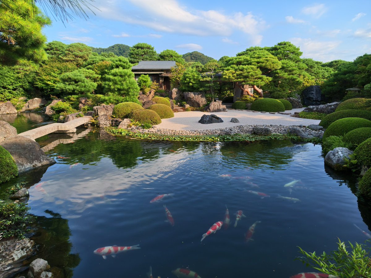 日本庭園と良い錦鯉 こういうのをたくさん作りたいというお手本すぎる