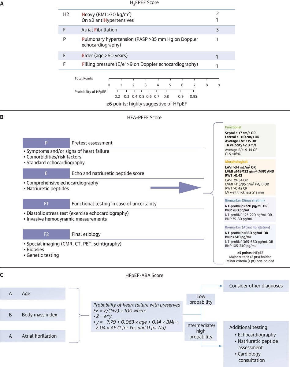 drbennisahmed's tweet photo. A. H₂FPEF Score — clinical/echo variables with weighted points: Heavy/BMI>30 (2), on ≥2 antihypertensives (1), Atrial Fibrillation (3), Pulmonary hypertension (1), Elder >60y (1), Filling pressure E/e’>9 (1). ≥6 points is highly suggestive of HFpEF.
@JACCJournals https://t.co/1EqbZ0Uegb