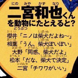 nini_2351's tweet photo. チワワがいい https://t.co/7jViwpJmnQ