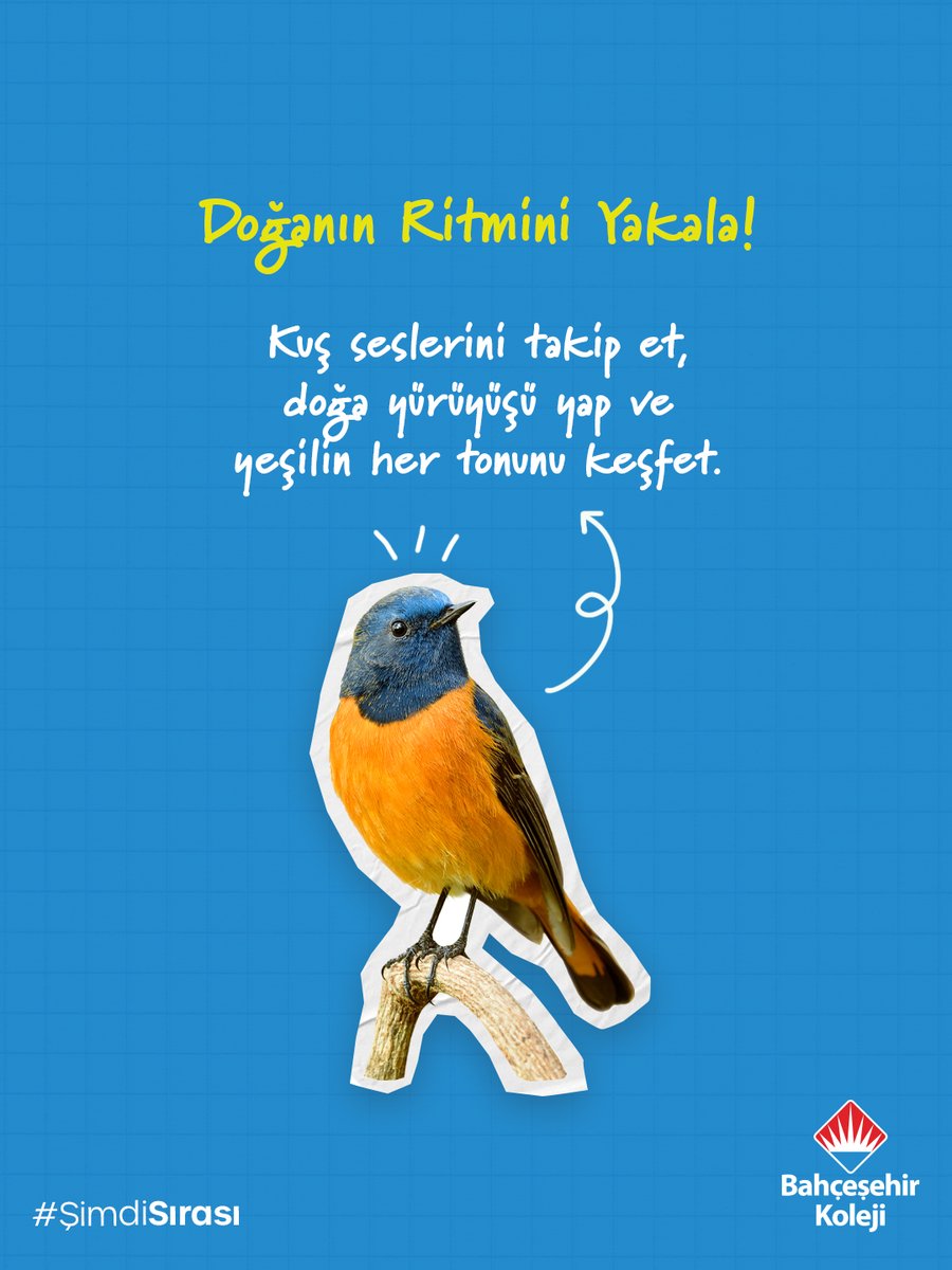 bahcesehir_k12's tweet photo. Bir yaz gününe kaç macera sığar? 🌊🪁🌿

Keşfetmenin, hareket etmenin ve unutulmayacak anılar biriktirmenin #ŞimdiSırası ✨

#BahçeşehirKoleji https://t.co/6jNsw6IfZh