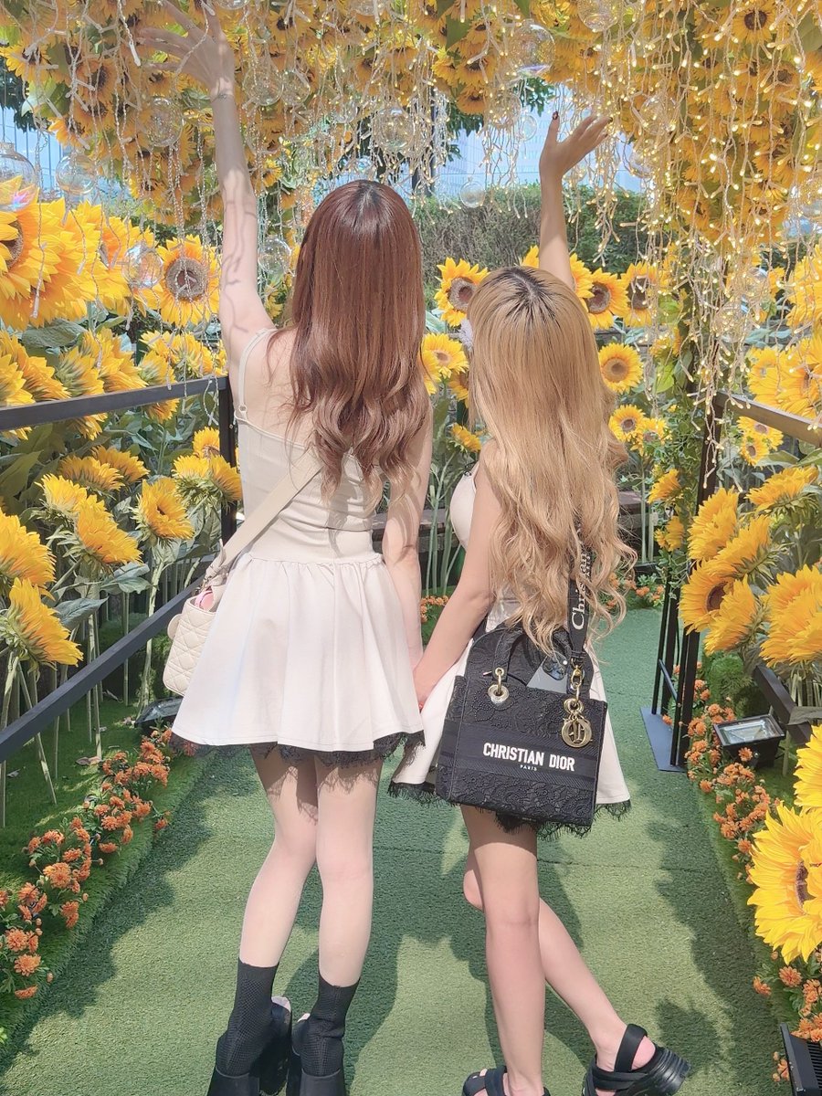 sera_0209's tweet photo. 🌻 https://t.co/ukdiFHW7lD