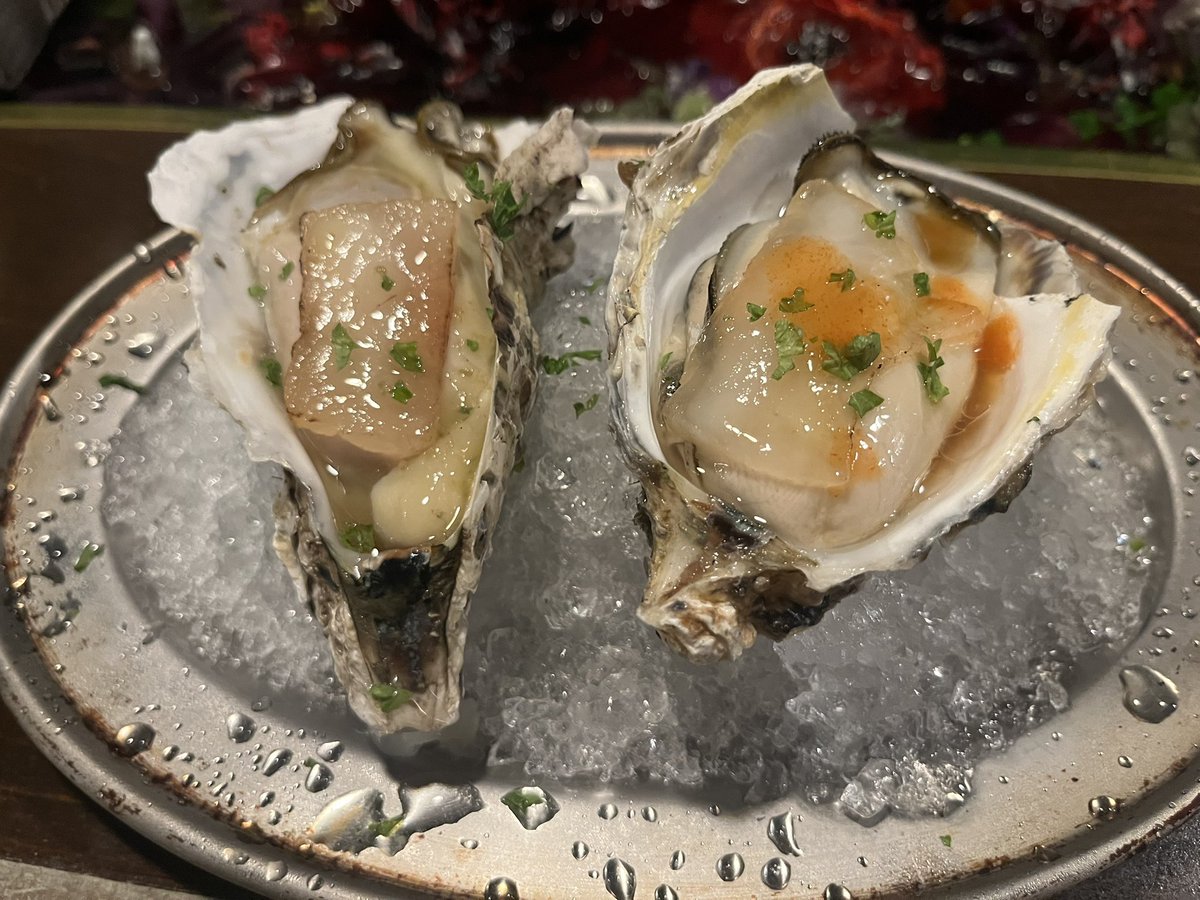 0021kenta's tweet photo. 旅行先で渡す、牡蠣のお土産散策してたら食べたくなったので、オイスターバルで牡蠣をキメる🦪
カキフライ、パスタも良いけど、やっぱポン酢とタバスコ、レモスコで食べる生牡蠣が1番やね☺️

冷静に考えて、旅行前日に恐ろしい事してるな…今までに6回当たってますσ(^_^;) https://t.co/mVaH3auSuw