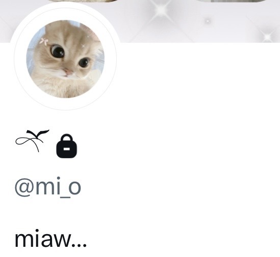 po-ti! ☆ tweet media