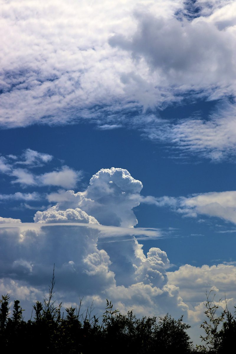 K11_pluviophile's tweet photo. こんな空を見れるから夏が好き。 https://t.co/6srTzlRnKt