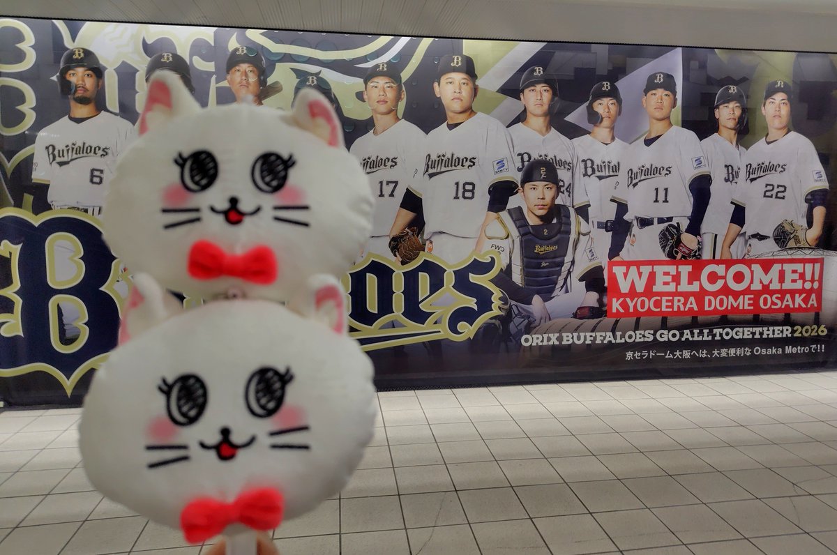 orirorih's tweet photo. おしゃこちゃんと一緒にバファローズこんにちは🥰
#Bsオリ姫デー  #おしゃこと応援
#おしゃこ  @oshako_official https://t.co/okLTYzJTMe