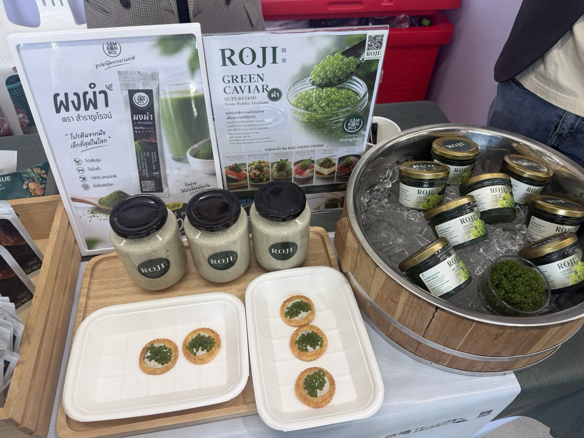 aim_theerarat's tweet photo. Thailand Synergy เพื่อ SMEs ไทย สู่ IDEs 

7 Innovation Awards 2026 โครงการความร่วมมือขับเคลื่อนนวัตกรรมสำหรับประเทศ อาจารย์เชน แชร์ Deep Tech Innovation ปลดล็อกศักยภาพ เชื่อมโยง นักคิด นักปฎิบัติ นักการตลาด ให้มาเจอกัน

ยินดีกับผู้ได้รับรางวัลทุกท่าน
#ThailandSynergy
#กระทรวงอว https://t.co/VhMWIaMGP9