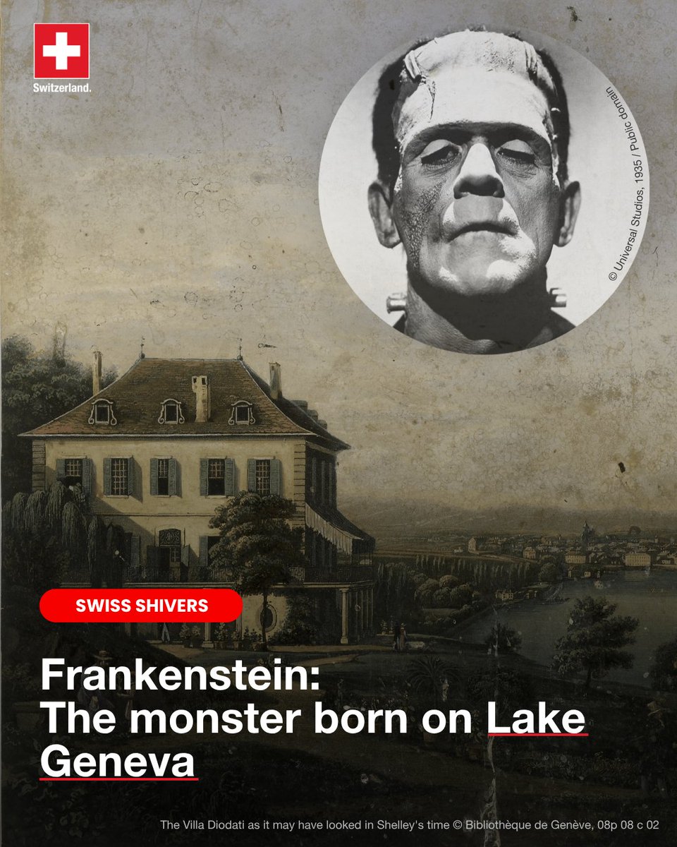 AbtSwitzerland's tweet photo. Frankenstein was dreamed up on Lake Geneva.

In 1816, a volcanic eruption ruined summer. Five writers, trapped indoors, challenged each other to write horror. An 18-year-old Mary Shelley imagined a monster. https://t.co/mIPqrmtaGW