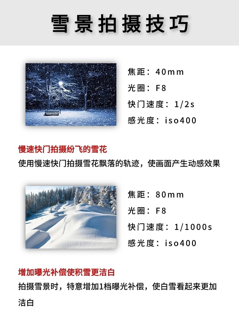 gogumakuma78227's tweet photo. New to photography Start with these 3 easy tips: use natural light, keep compositions simple, and don’t fear auto mode. Your first great shot is closer than you think! https://t.co/ca5QdE13tW