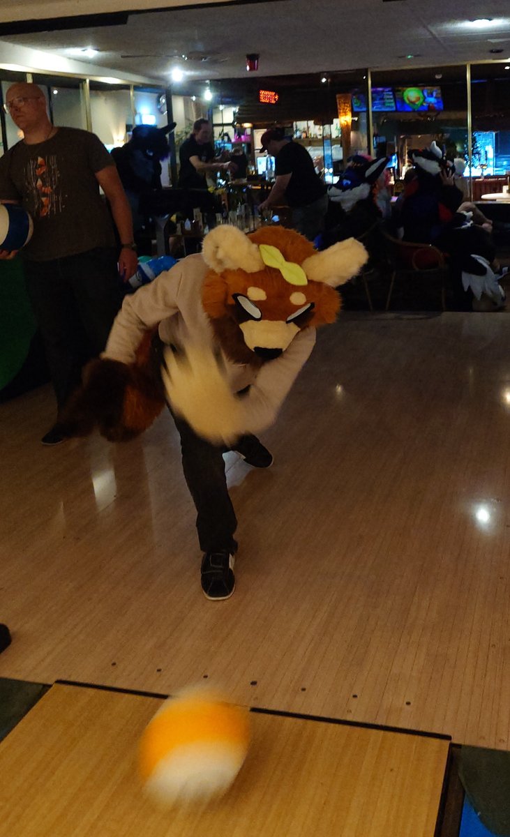 DutchRedPanda_ tweet picture