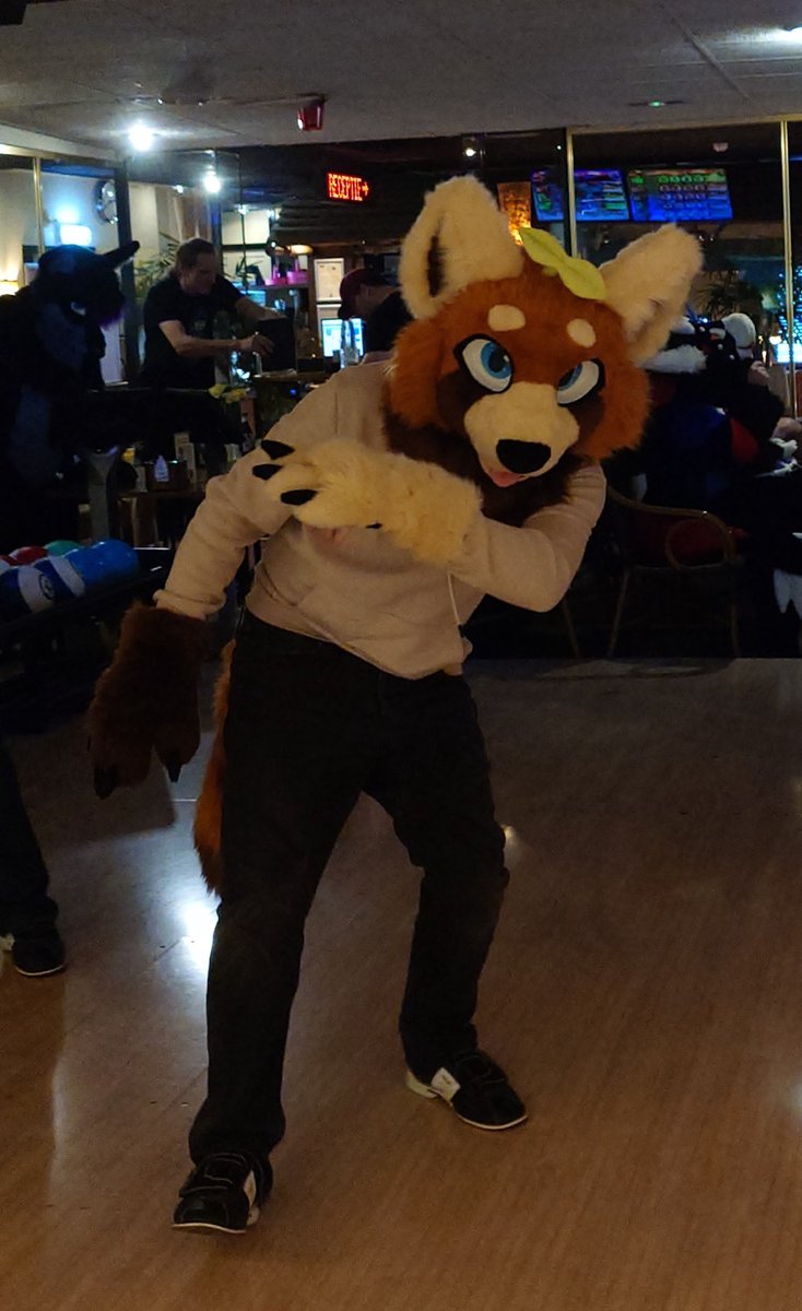 DutchRedPanda_ tweet picture