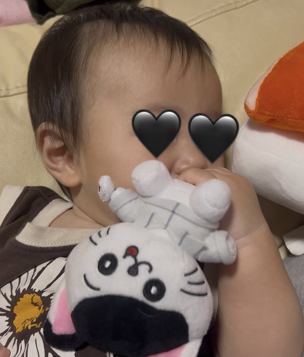 ryumin_luv's tweet photo. 9ヶ月の甥っ子のお気に入りになってるりゅせにゃんさすがすぎる🐱🖤
#海沼流星 
＠kainuma_ryusei https://t.co/Jhps1ywqrz