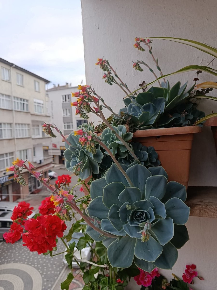 YldzInal1's tweet photo. Arada gezerim eskileri, geldiğim yeri unutmamak için. ❤️🧿 https://t.co/4LgAqCqU3P