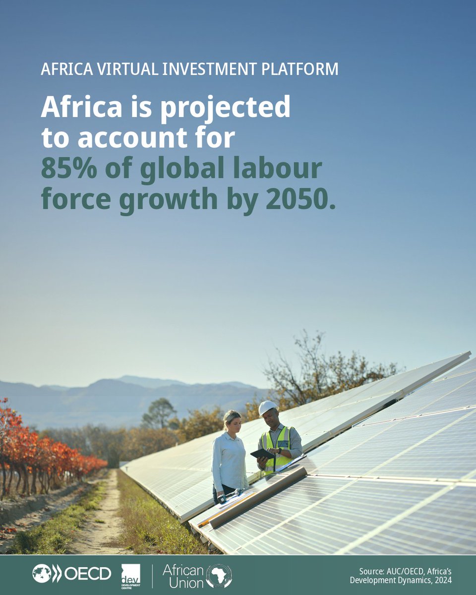OECD Development tweet media