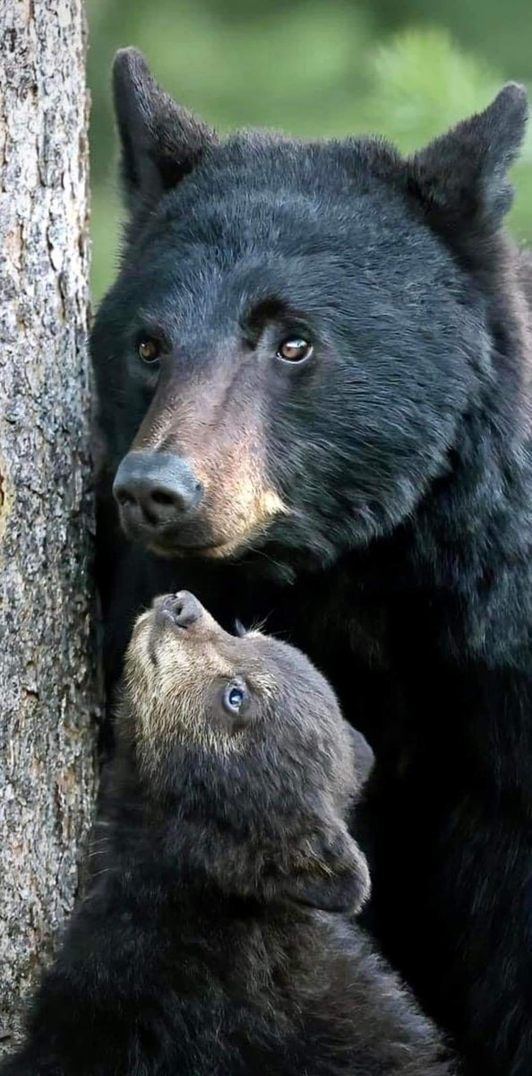 NatureLover_502's tweet photo. https://t.co/uTXdxBfsHw