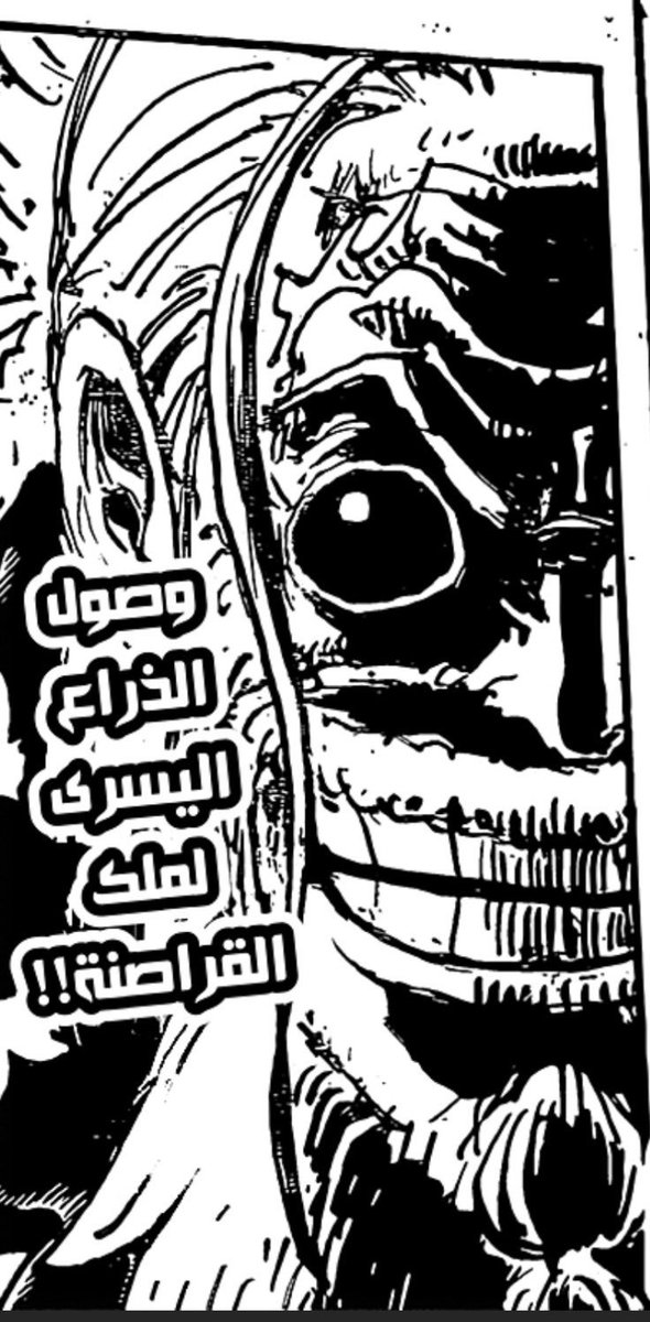 RulerPiece's tweet photo. ابتسامة جابان تقول كل شي.. 
طاقم ملك القراصنة عارفين كيف راح تمشي الأمور بالملي. 
#onepiece #onepiece1189話 #onepiece1189 #ون_بيس https://t.co/pCphSTbJaB