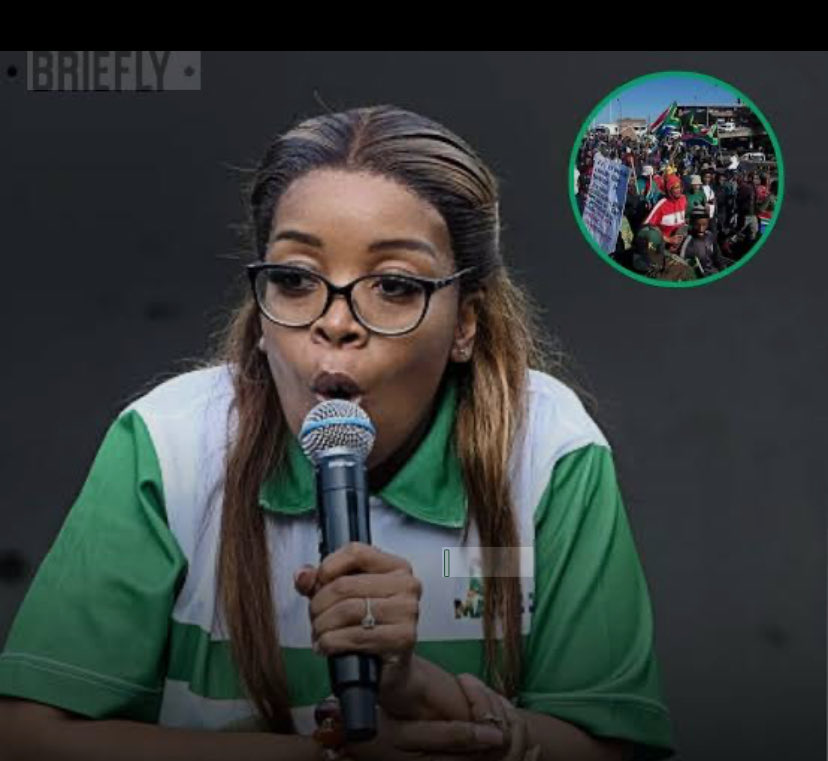 Mzansiawake's tweet photo. Jacinta Ngobess ~
When Fear Closes the Gates

No investor brings billions to a country where mobs decide who gets hired.

In June 2026, groups linked to the March and March movement walked into factories in Boksburg, Benoni and City Deep. Cameras on. Demands made. "Fire foreigners". 

Call it activism. Call it patriotism.
The boardroom calls it "risk".

And when risk is high, factories close. Orders move to Mexico, to Morocco, to anywhere the gate is not guarded by politics.

The people who marched say they are fighting for South African jobs.
But the result is this: No new jobs. And the existing ones start looking shaky. 

VW, BMW, Toyota did not build plants here because we are cheap.
They built here because we promised stability, law, and rules.

The moment we replace law with a mob, we replace investment with exit.

You can be angry about unemployment.
But you cannot fix unemployment by scaring away the people who employ.

Law must be enforced. By police. By Home Affairs. By courts.
Not by a group with a megaphone and a deadline. 

Because when the last plant shuts, it won’t be Jacinta who loses her job.
It will be 10,000 workers in Uitenhage, Rosslyn, and Durban.

That’s not justice. That’s self-sabotage.