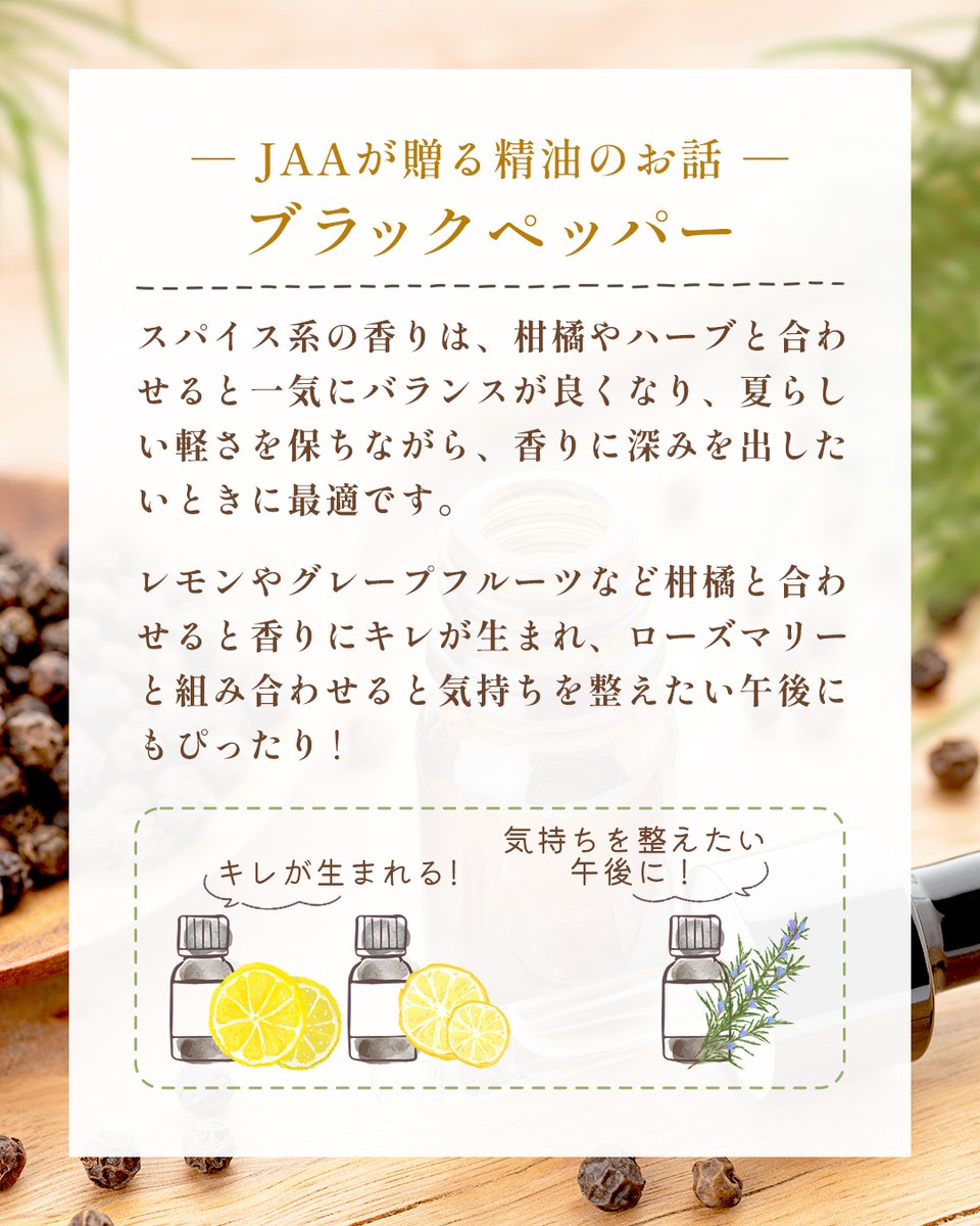 JAA_official's tweet photo. 📖JAAが贈る精油のお話📖
【ブラックペッパー】

暑さと湿気が続く季節はどうしても気分がゆるみやすく、やる気のスイッチが入りにくくなるもの。 
そんな夏にこそおすすめの精油がブラックペッパーです✨

▼資料請求はこちら
https://t.co/BmTULW3ox2

#アロマ
#aroma https://t.co/3slaC6vzx3