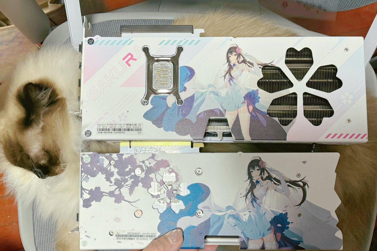 YestonOfficial's tweet photo. Yeston Sakura 3070→5070. Yeah, it's a big one. 🌸🚀 Same Sakura look but completely different energy. Shared by @咬着葱的蔚倪
.
#yeston #graphicscard #gpu #hardware #pcgaming #pcbuild #upgrade #sakura #sakuragpu #rtx5070 https://t.co/s4B2VJAZIV